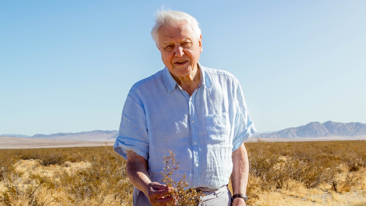 BBC announces Attenborough and the Giant Sea Monster