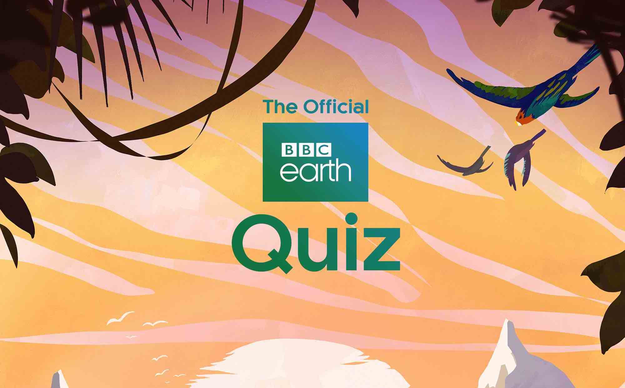 BBC Earth launches new mobile quiz app featuring content from Blue Planet II