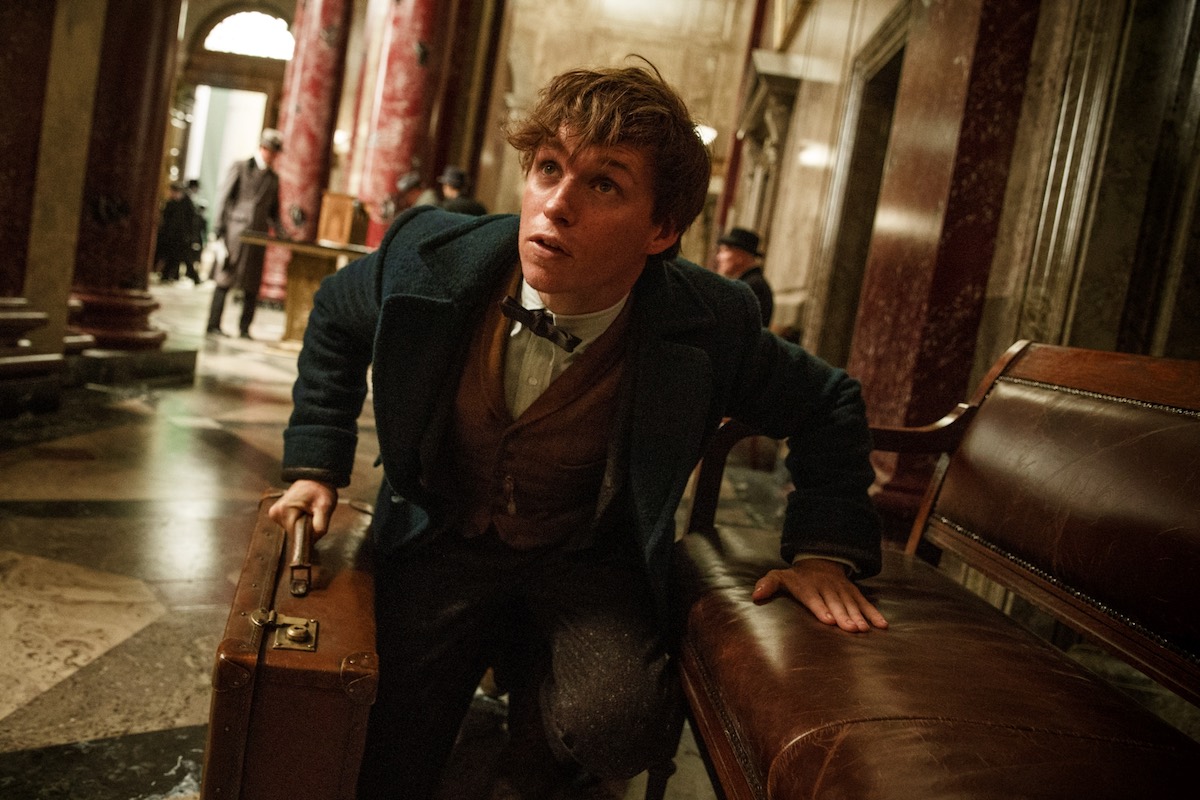 Fantastic Beasts and Where to Find Them – new