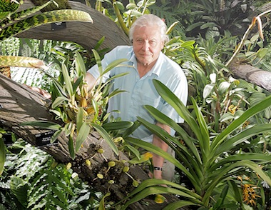 Attenborough’s Kingdom of Plants 3D to air in May