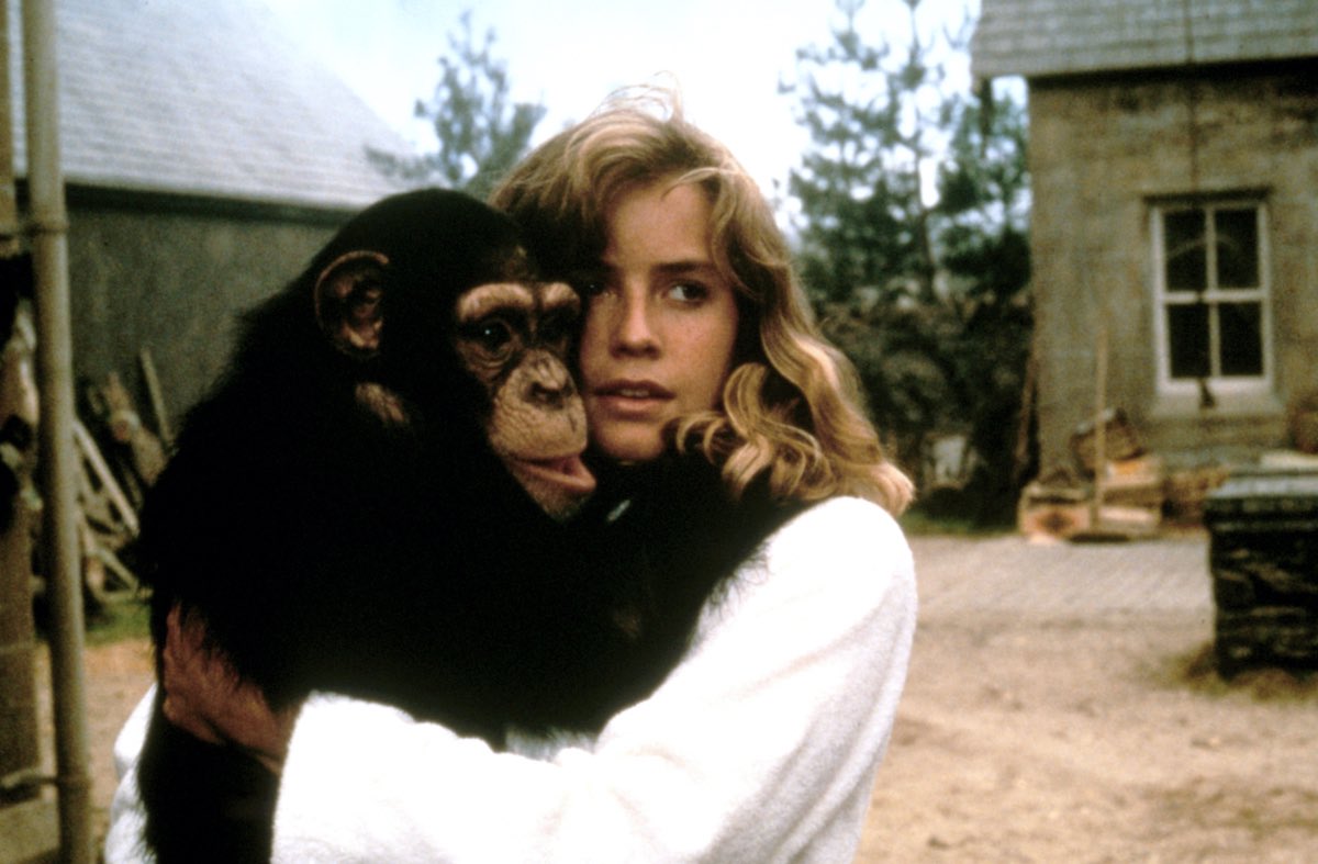 Elisabeth Shue and Terence Stamp’s 80s horror Link is coming to Blu-ray