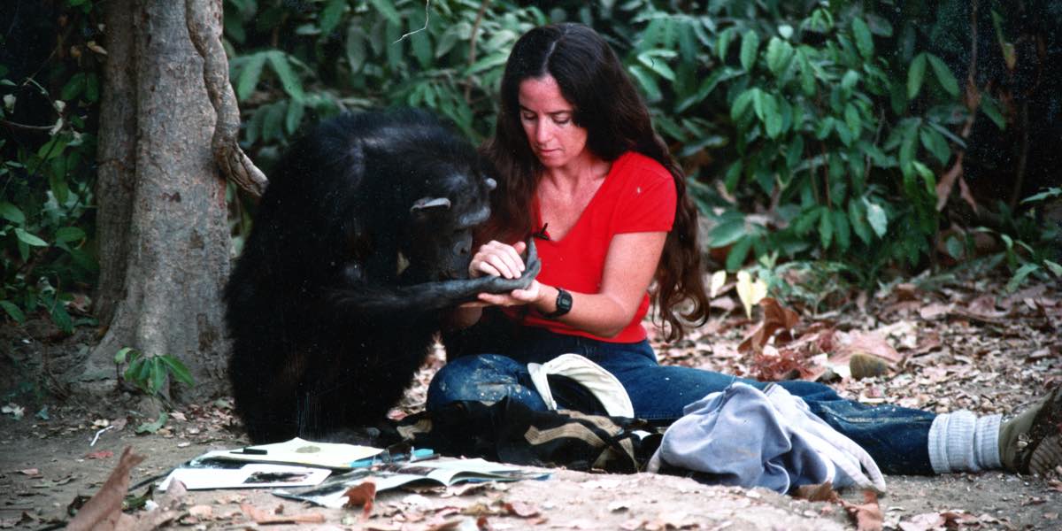 Hat Trick International sells Lucy The Human Chimp to HBO Max