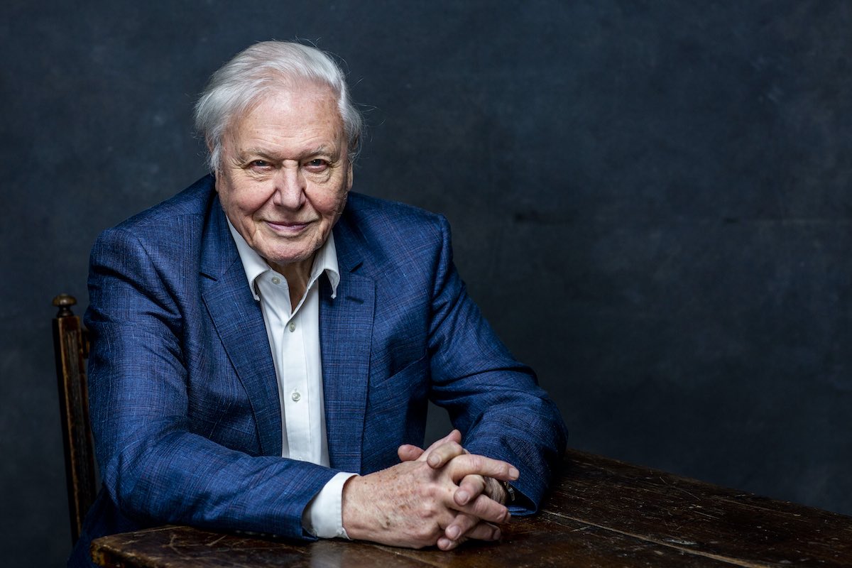 BBC announces Planet Earth: A Celebration – a new one-off special to air this summer