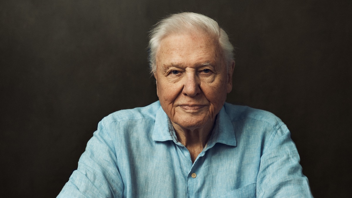 Sir David Attenborough to present Planet Earth III 