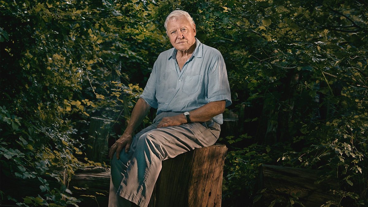 New David Attenborough series to showcase Asia’s wildlife