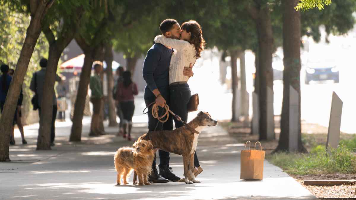 Puppy Love – Dog Days and the Most Romantic Movie Mutts