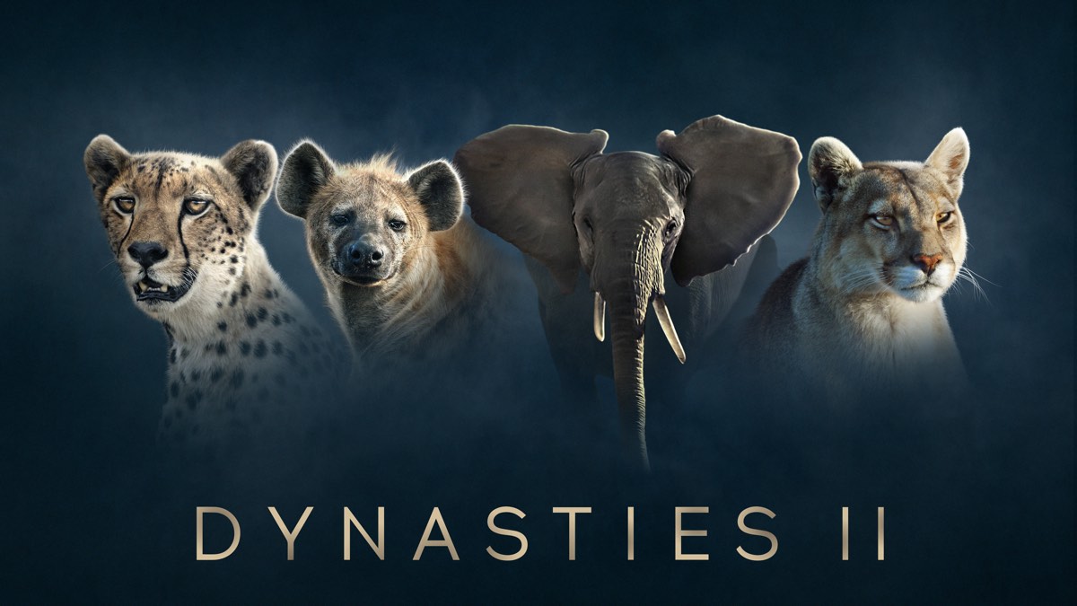 Second series of Sir David Attenborough’s Dynasties announced