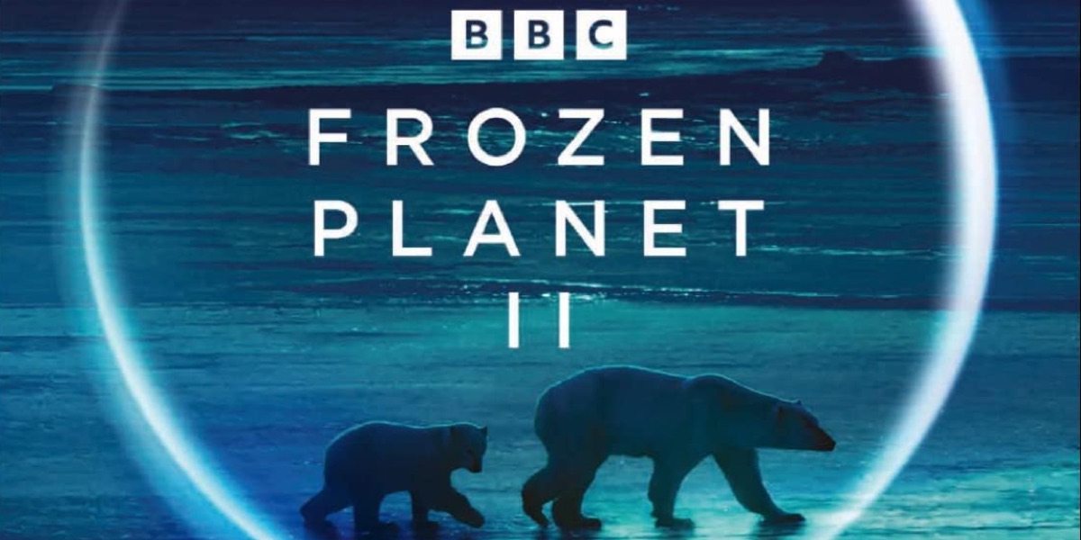 Frozen Planet II is coming to 4K Ultra-HD Blu-ray and Blu-ray next month