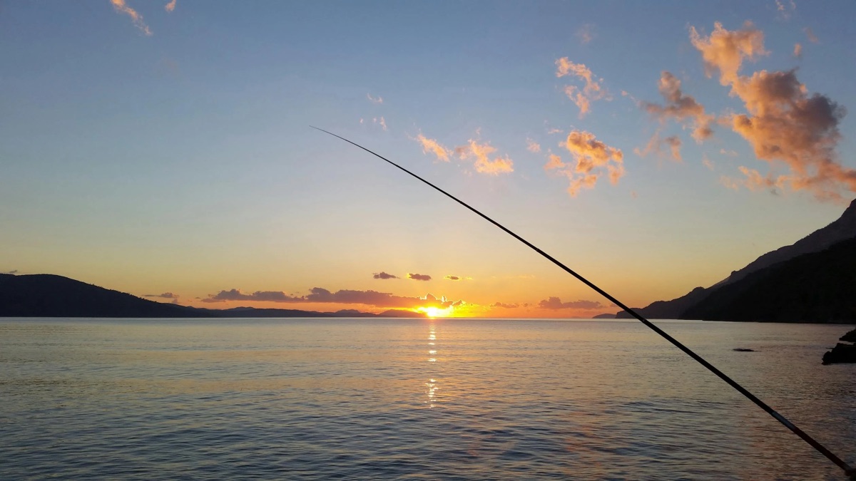 Mortimer and Whitehouse: Gone Fishing already set to return for season 8