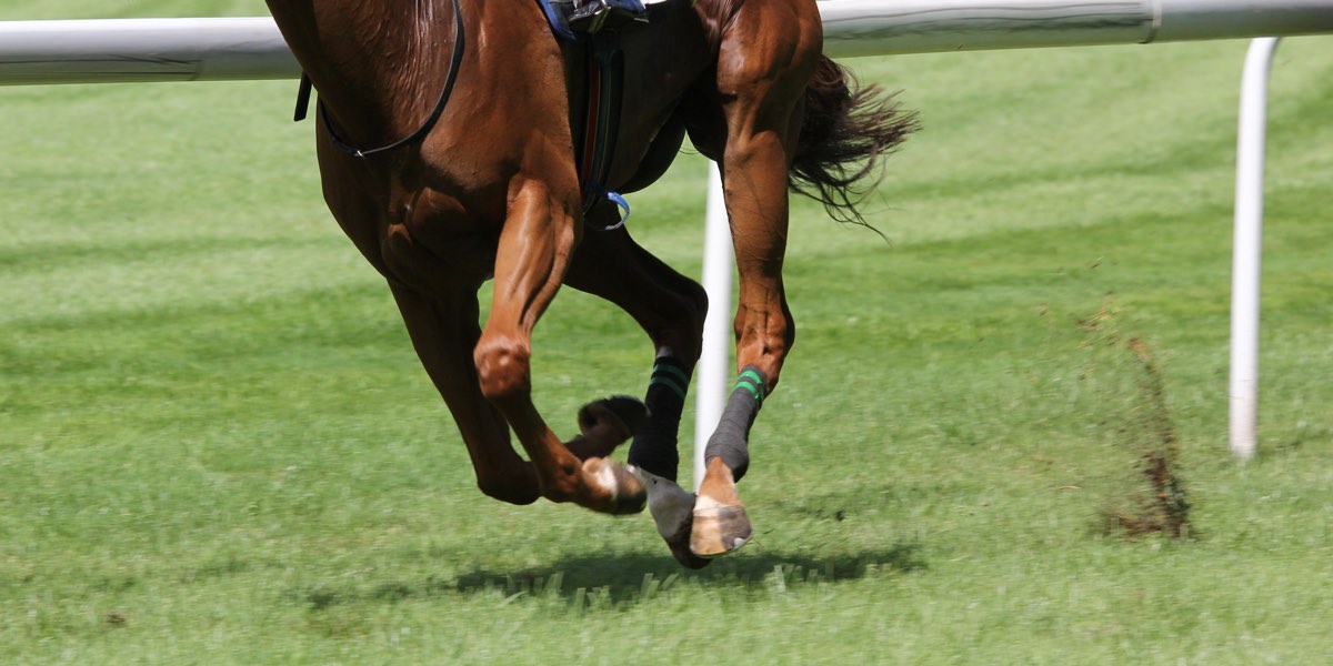 Don’t Miss the Epsom Derby this June