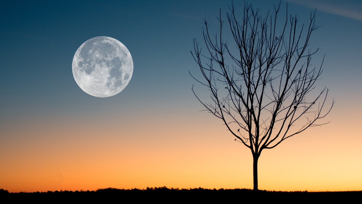 Dara Ó Briain to explore the moon in new Channel 5 series