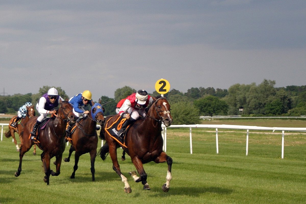 Horse racing: Emerging as a popular sport to stream