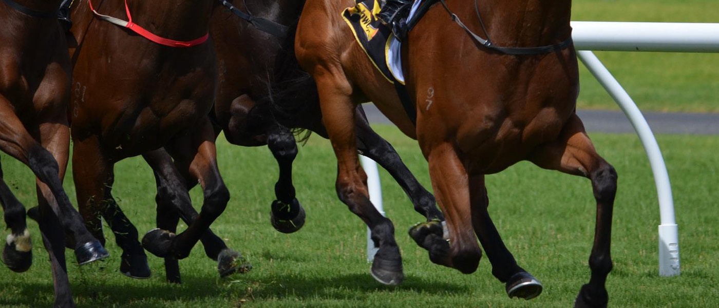 A look at how Subjectivist stopped the Stradivarius quadruple in the Royal Ascot Gold Cup