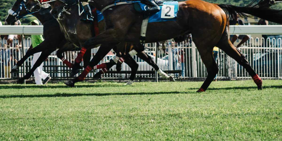 Four Willie Mullins-trained horses to watch in the upcoming National Hunt racing season